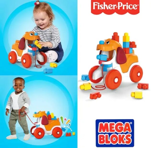כלב מעודד הליכה עם קוביות מגה בלוקס